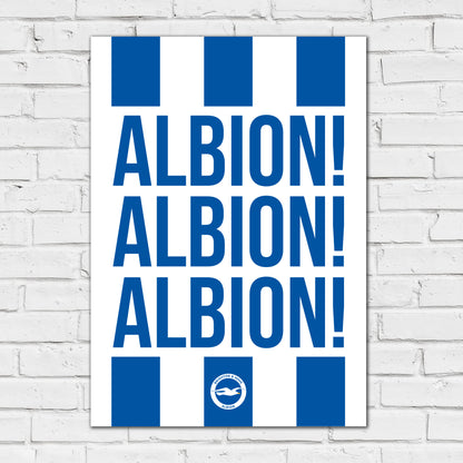 Brighton and Hove Albion FC Print - Albion Albion Albion Poster