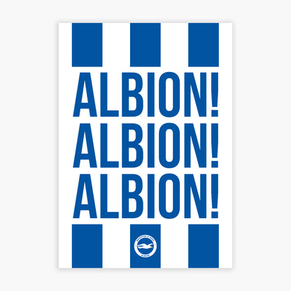 Brighton and Hove Albion FC Print - Albion Albion Albion Poster