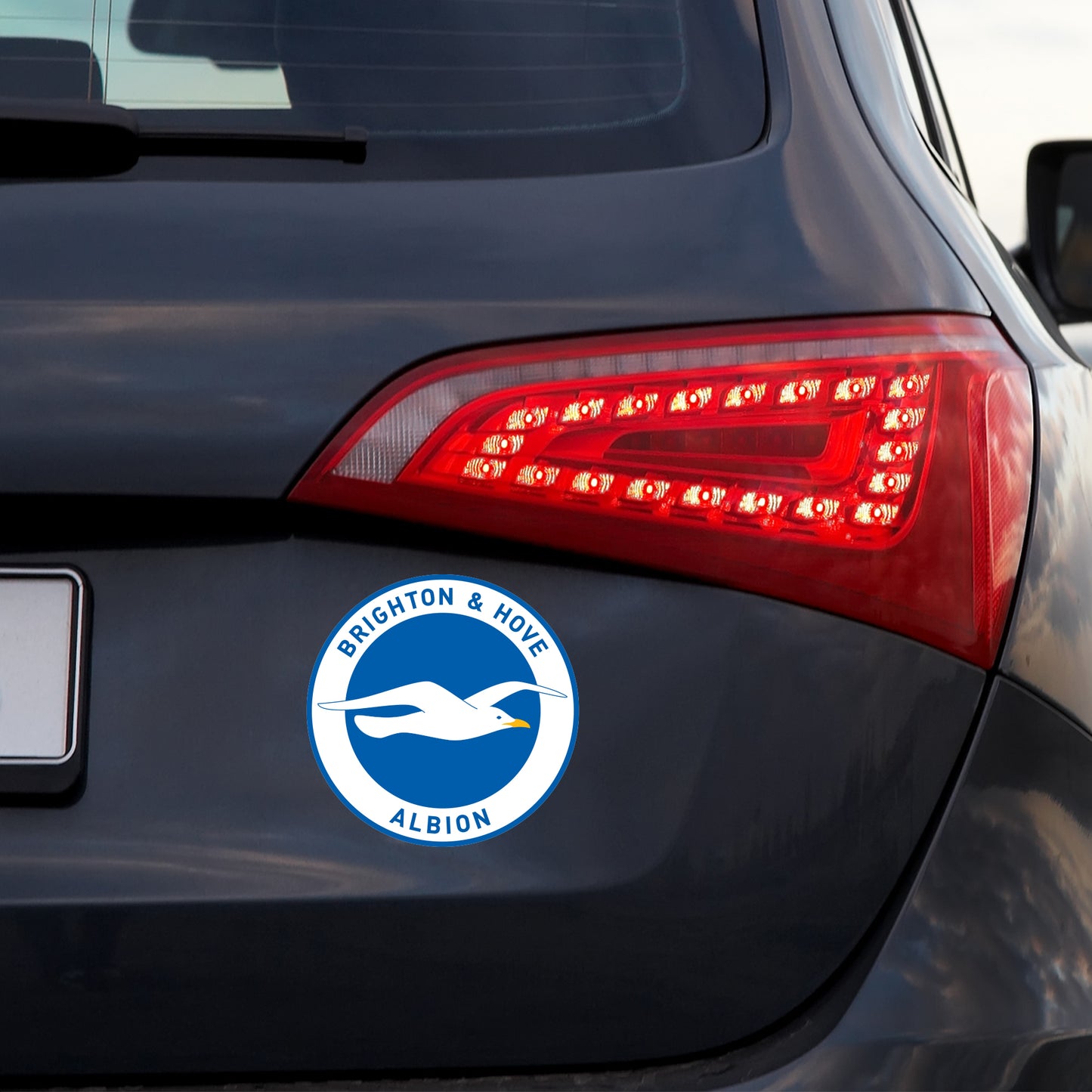 Brighton Football Club - Car Sticker Pack
