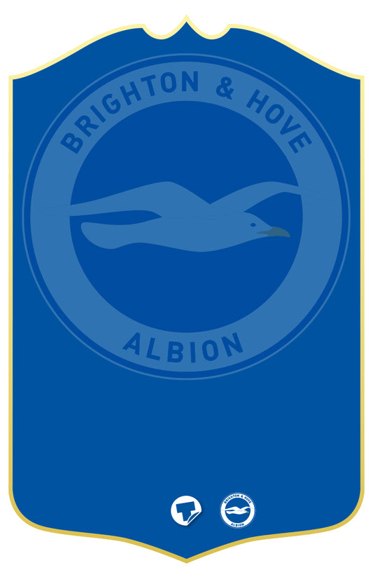 Brighton & Hove Albion 24 Personalised Stats Card