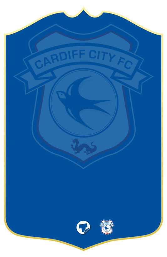 Cardiff 24 Personalised Stats Card