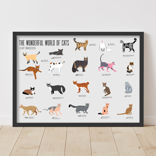 Cat Wall Print - Cat Breeds Poster Art