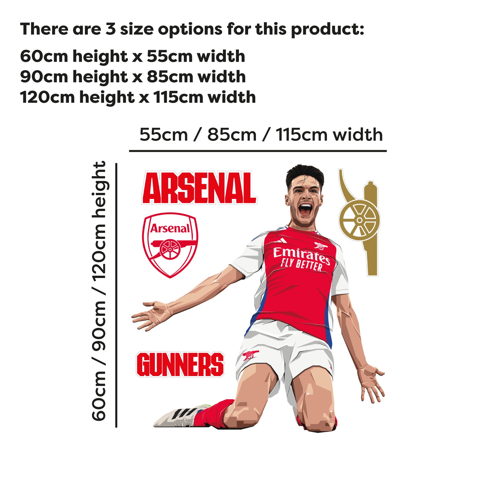 Arsenal FC Wall Sticker - Declan Rice 24-25 Illustration + AFC Decals ...