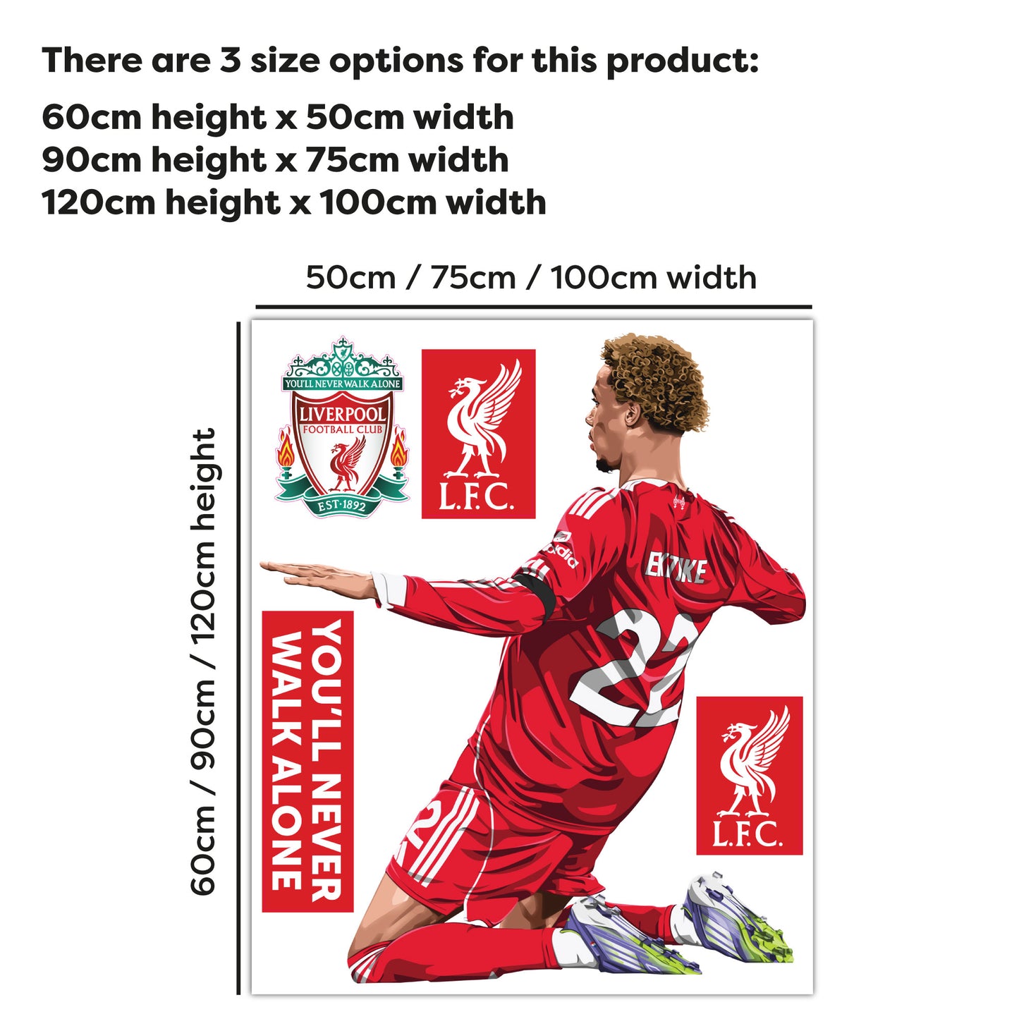 Liverpool FC Wall Sticker - Ekitike 25/26 Illustration Wall Decal