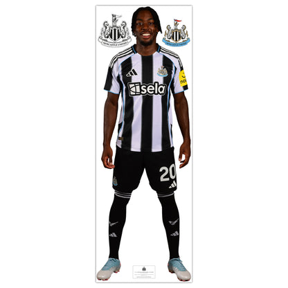 Newcastle United Wall Sticker - Elanga Player 25/26 Wall Decal Football Art