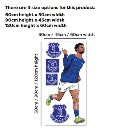 Everton Football Club - Ndiaye 25/26 Illustration Wall Sticker