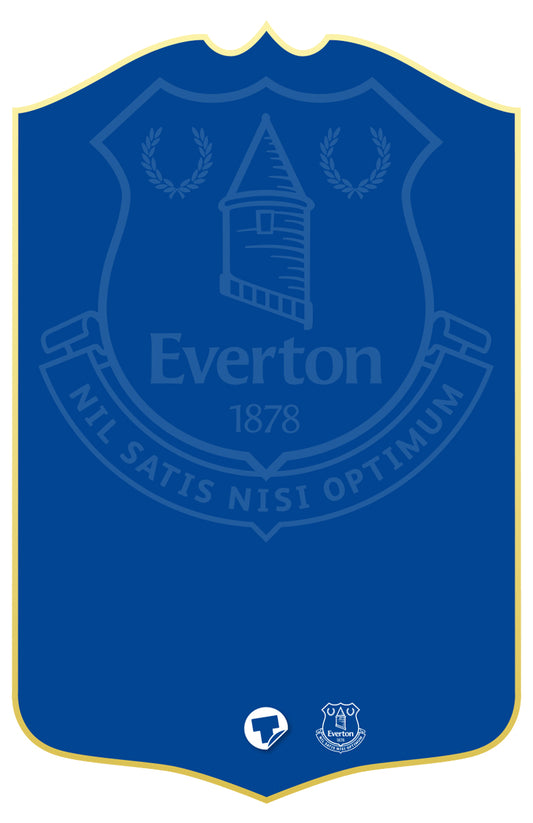 Everton 24 Personalised Stats Card