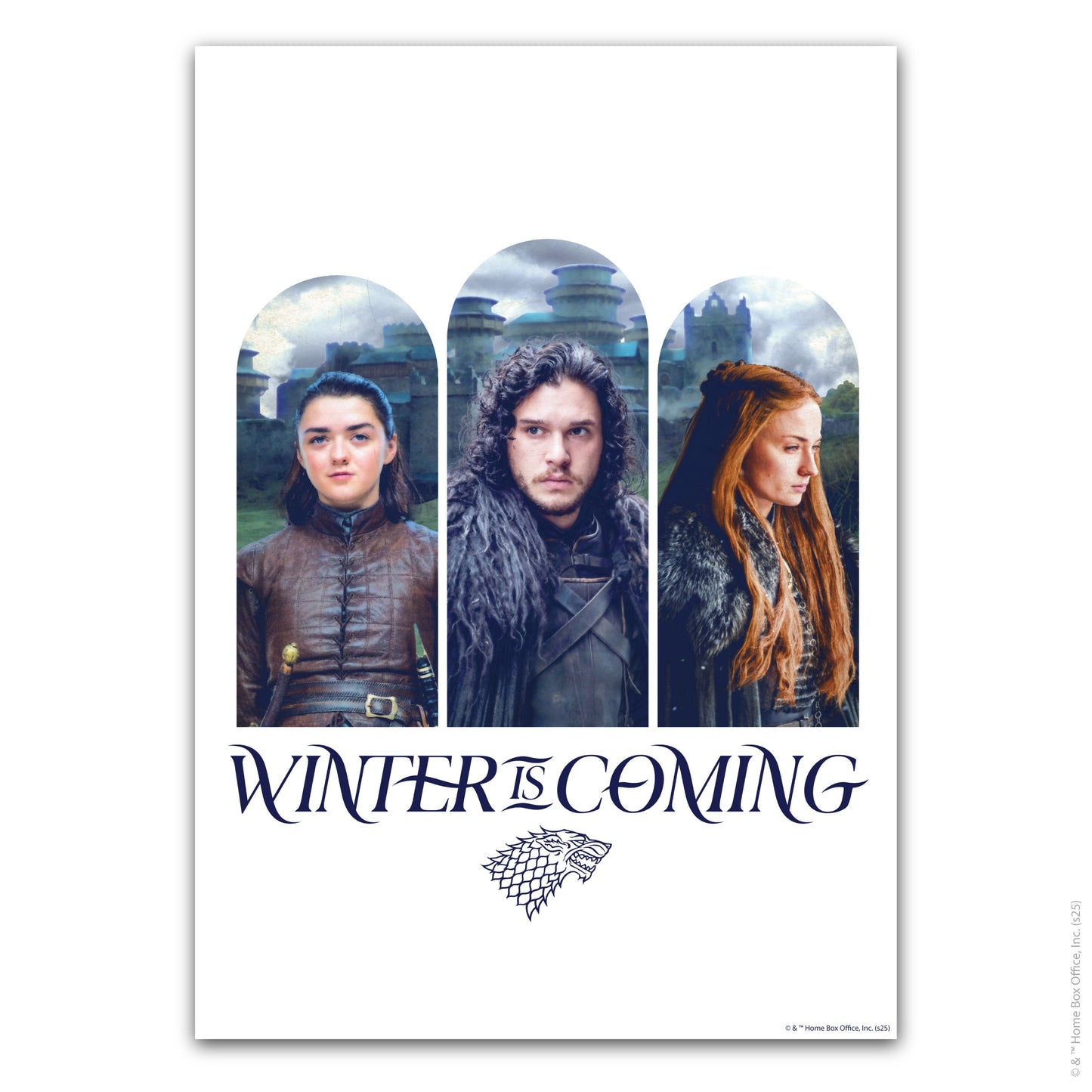 Game of Thrones Print – Winter Is Coming Poster Wall Art