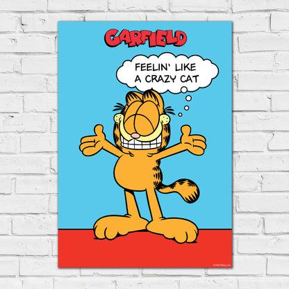 Garfield Print – Feelin' Like A Crazy Cat Poster Wall Art