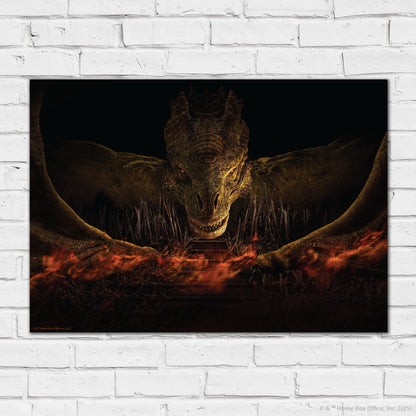 House of the Dragon Print –  Syrax Poster Wall Art