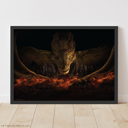 House of the Dragon Print –  Syrax Poster Wall Art