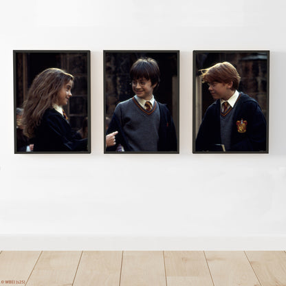 HARRY POTTER Print – 1st Year Trio - Set Of 3 Posters