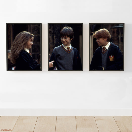 HARRY POTTER Print – 1st Year Trio - Set Of 3 Posters