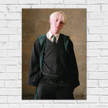 HARRY POTTER Print – Draco Portrait Poster Wall Art