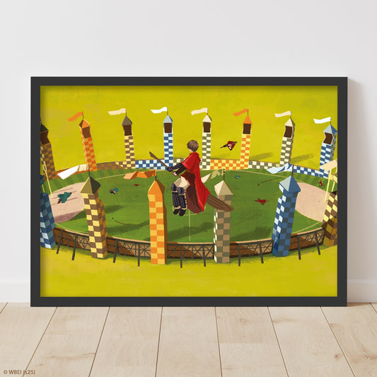 HARRY POTTER Print – Harry Flying Over Quidditch Pitch Poster Wall Art
