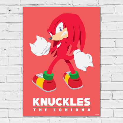 Sonic The Hedgehog Print - Knuckles Colour Block Poster Wall Art
