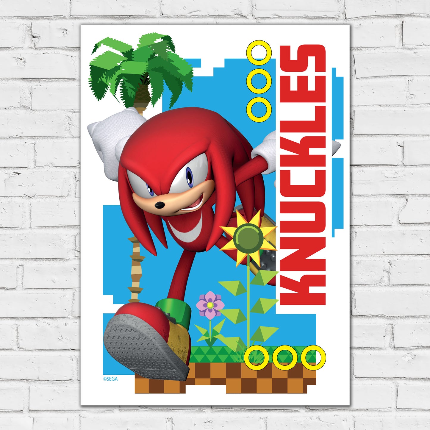 Sonic The Hedgehog Print - Knuckles Green Hill Zone Graphic Poster Wall Art