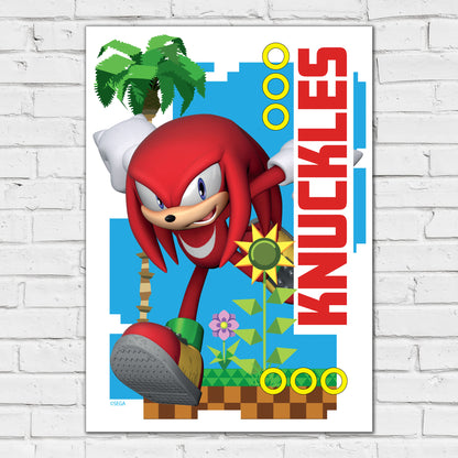 Sonic The Hedgehog Print - Knuckles Green Hill Zone Graphic Poster Wall Art
