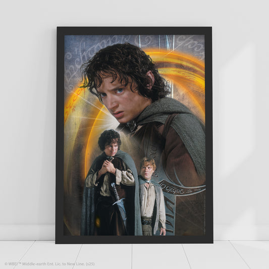 The Lord of the Rings Print –  Frodo Guarding Ring Poster Wall Art