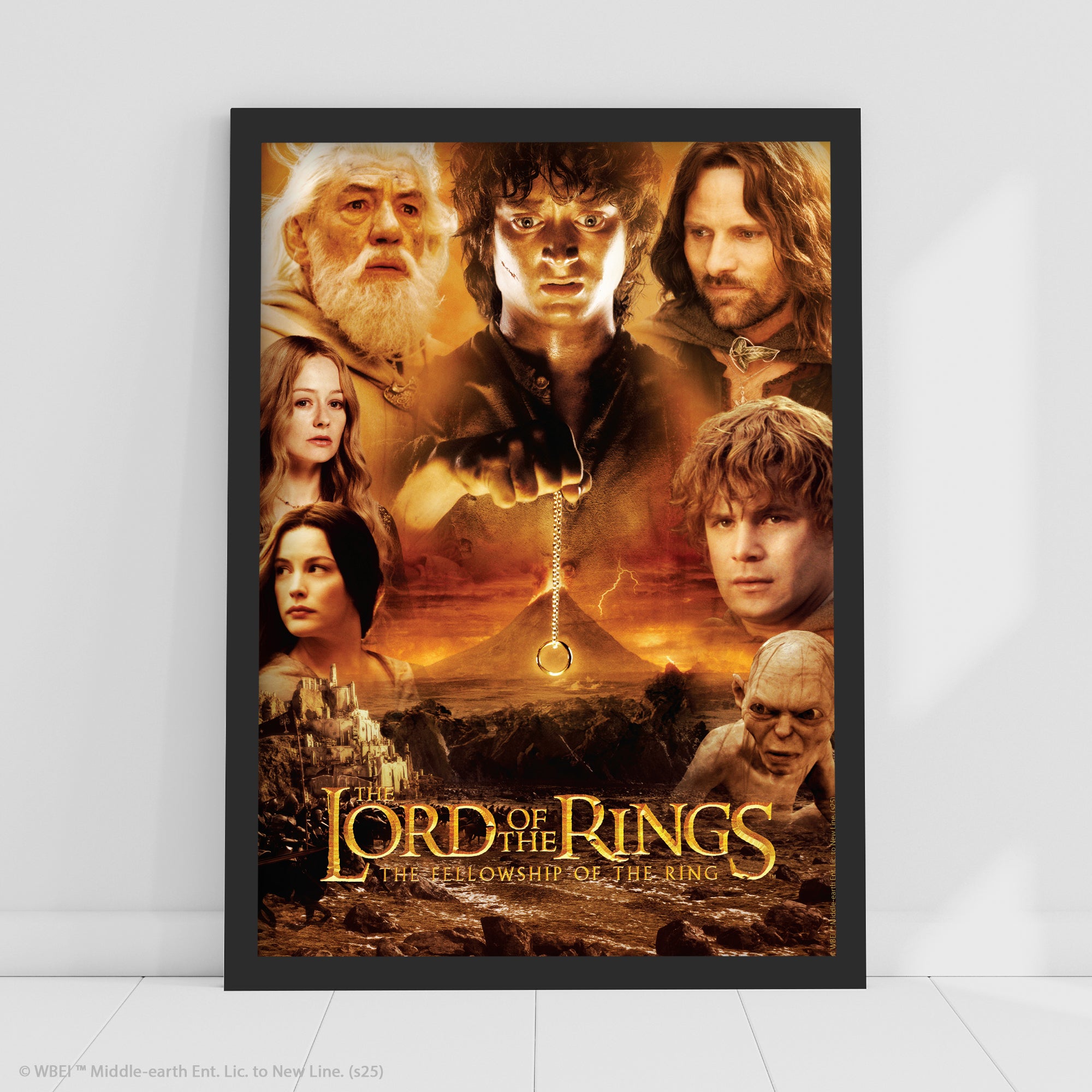 The Lord of the Rings Print – Frodo Holding The Ring Poster Wall Art ...