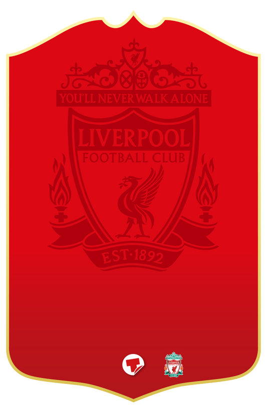 Liverpool 24 Personalised Stats Card