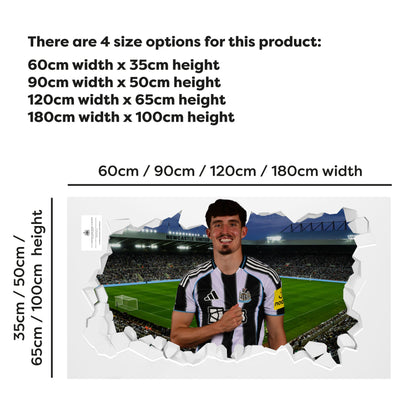 Newcastle United Football Club - Livramento 25/26 Broken Wall Sticker