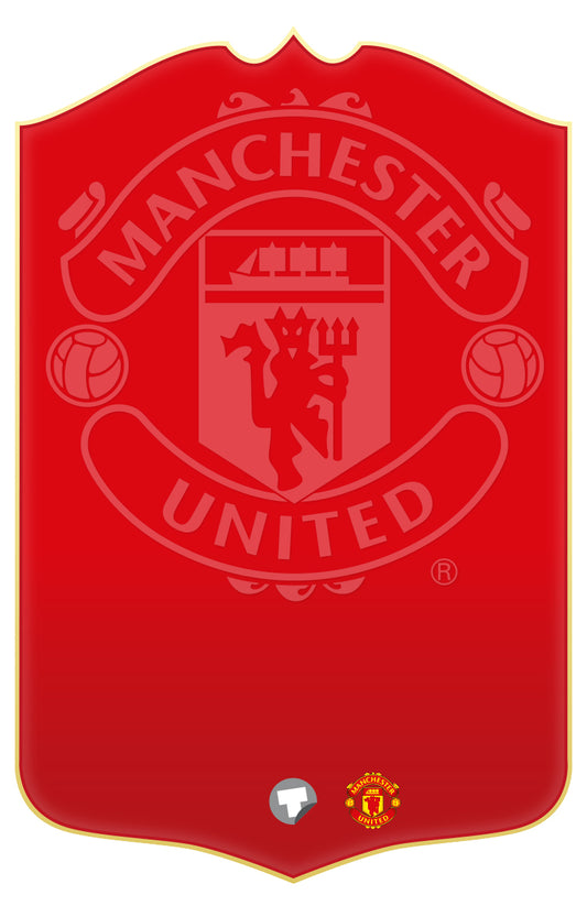 Manchester United 24 Personalised Stats Card