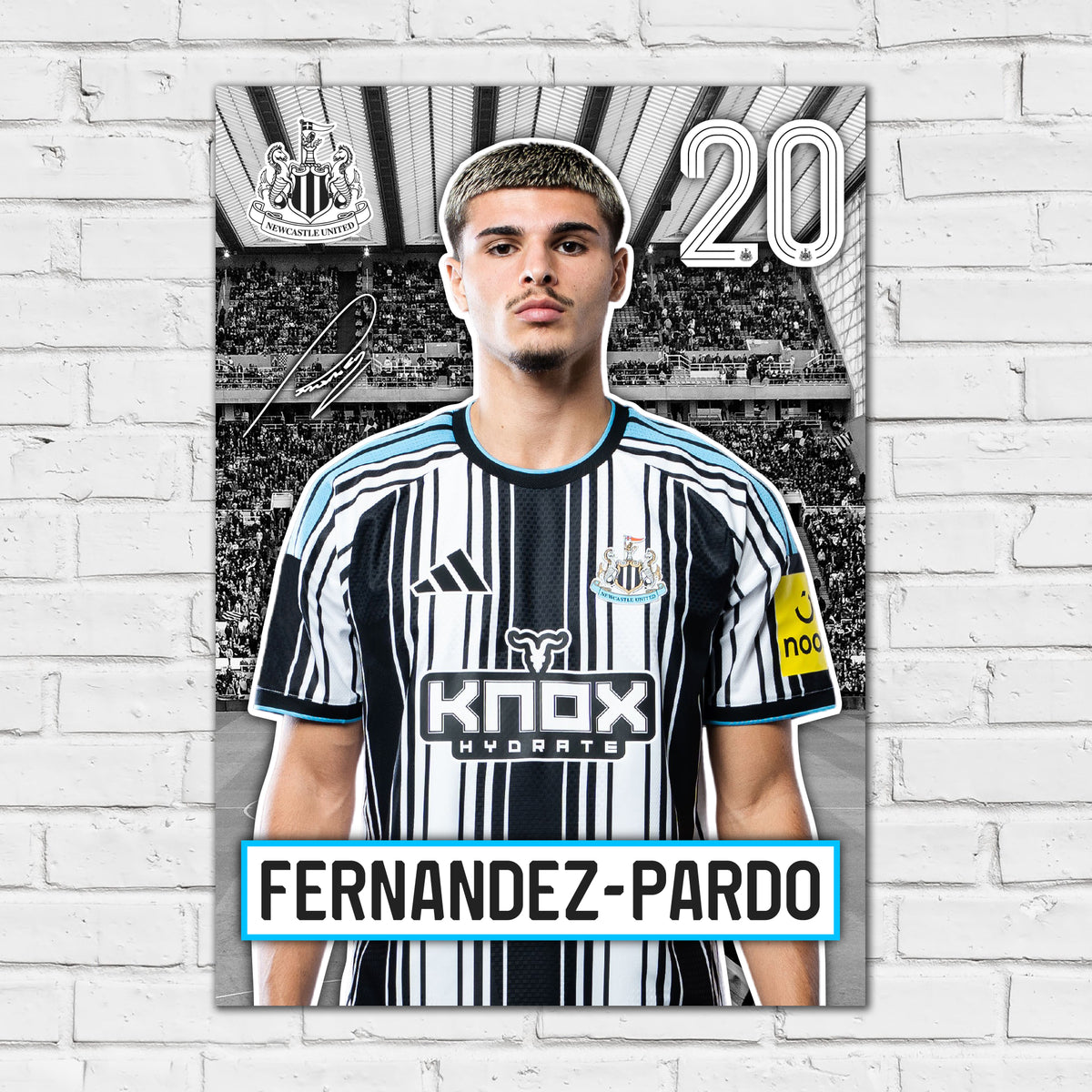 Newcastle United FC Print - Fernandez 26/27 Core Poster Football Wall Art