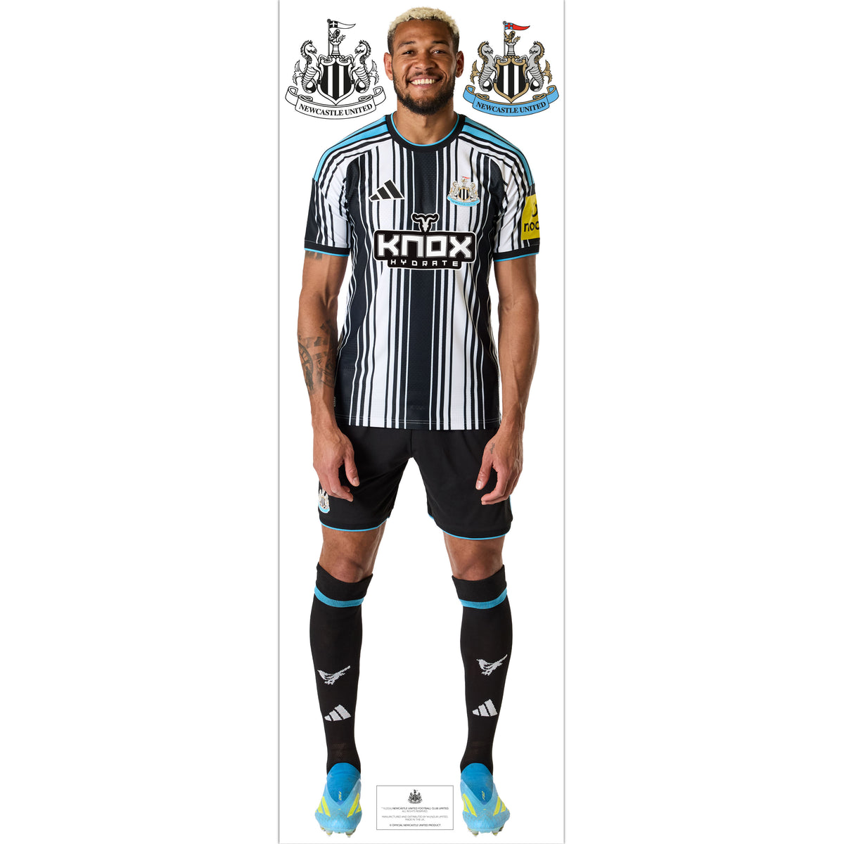 Newcastle United Wall Sticker - Joelinton Player 26/27 Wall Decal Football Art