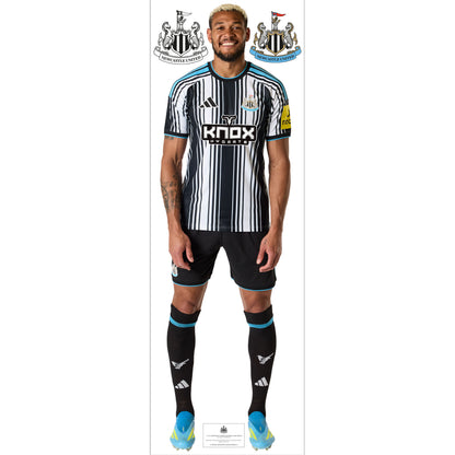 Newcastle United Wall Sticker - Joelinton Player 26/27 Wall Decal Football Art
