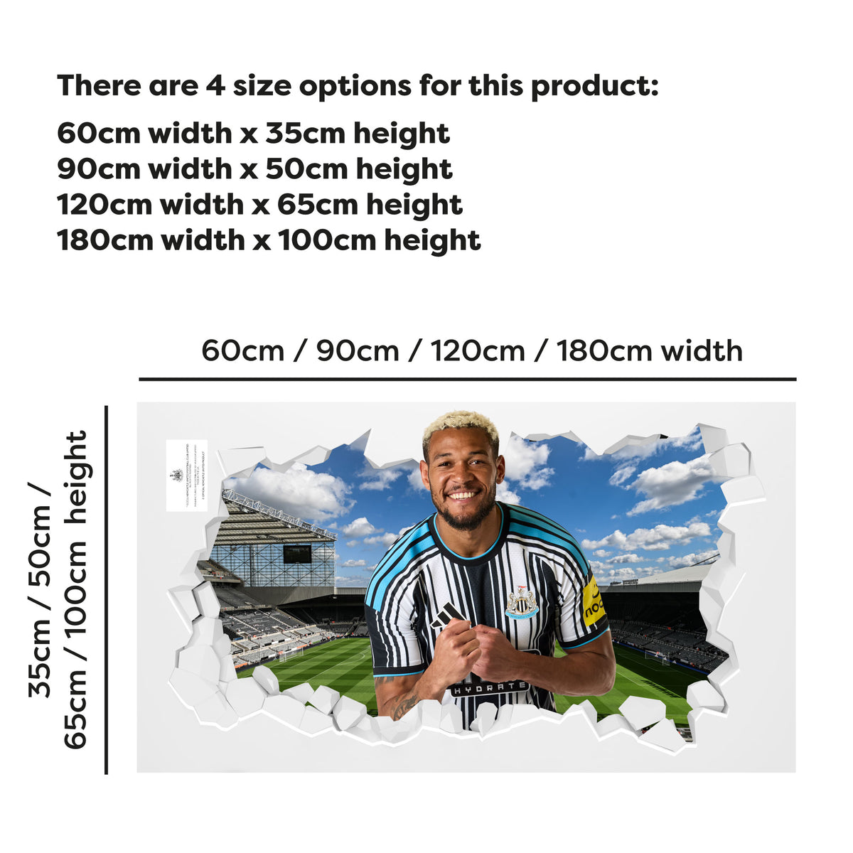 Newcastle United Football Club - Joelinton 26/27 Broken Wall Sticker