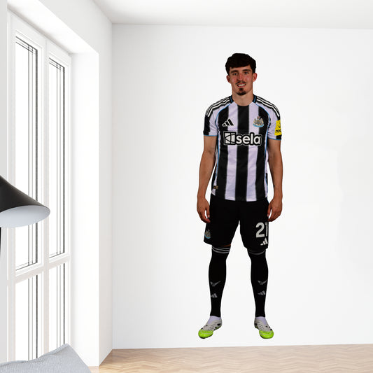 Newcastle United Wall Sticker - Livramento Player 25/26 Wall Decal Football Art