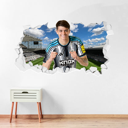 Newcastle United Football Club - Miley 26/27 Broken Wall Sticker