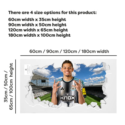 Newcastle United Football Club - Osula 26/27 Broken Wall Sticker