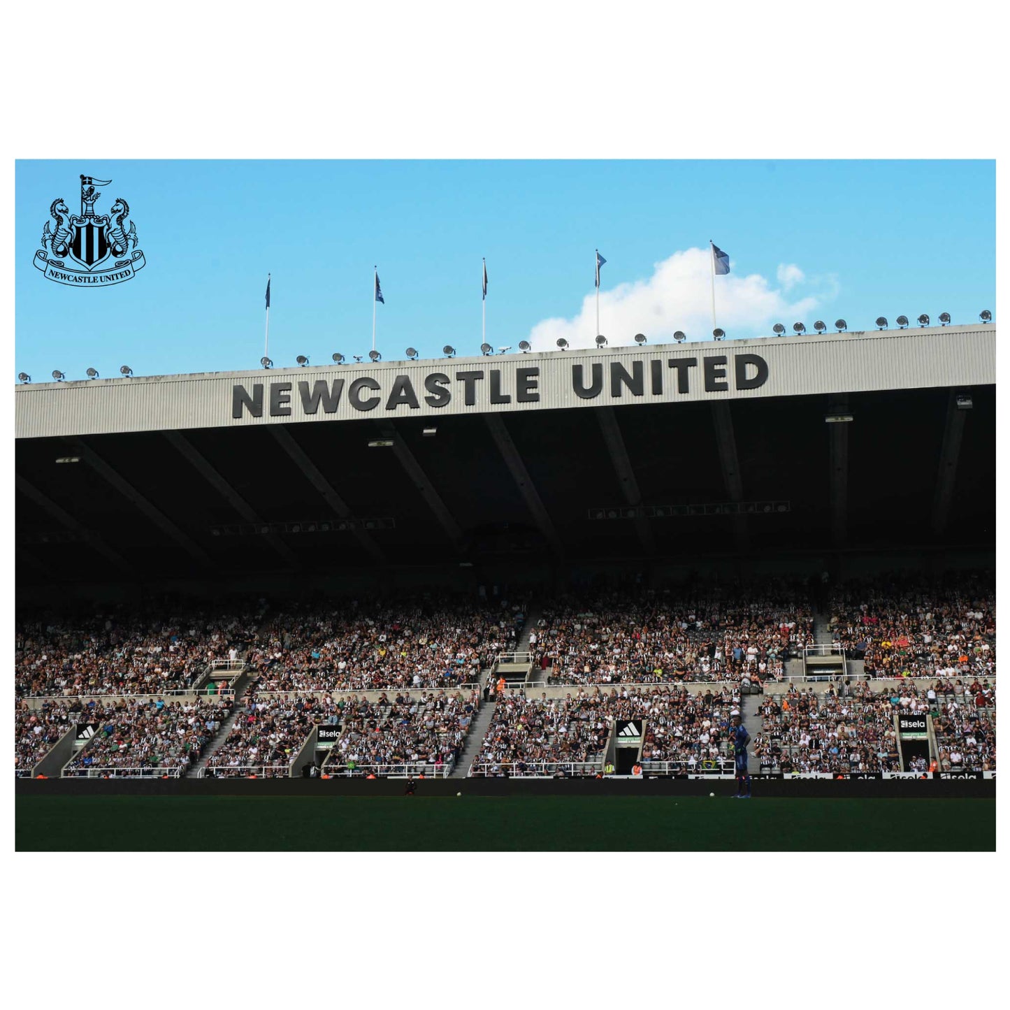 Newcastle United FC Print - Fans in Stand Poster Football Wall Art