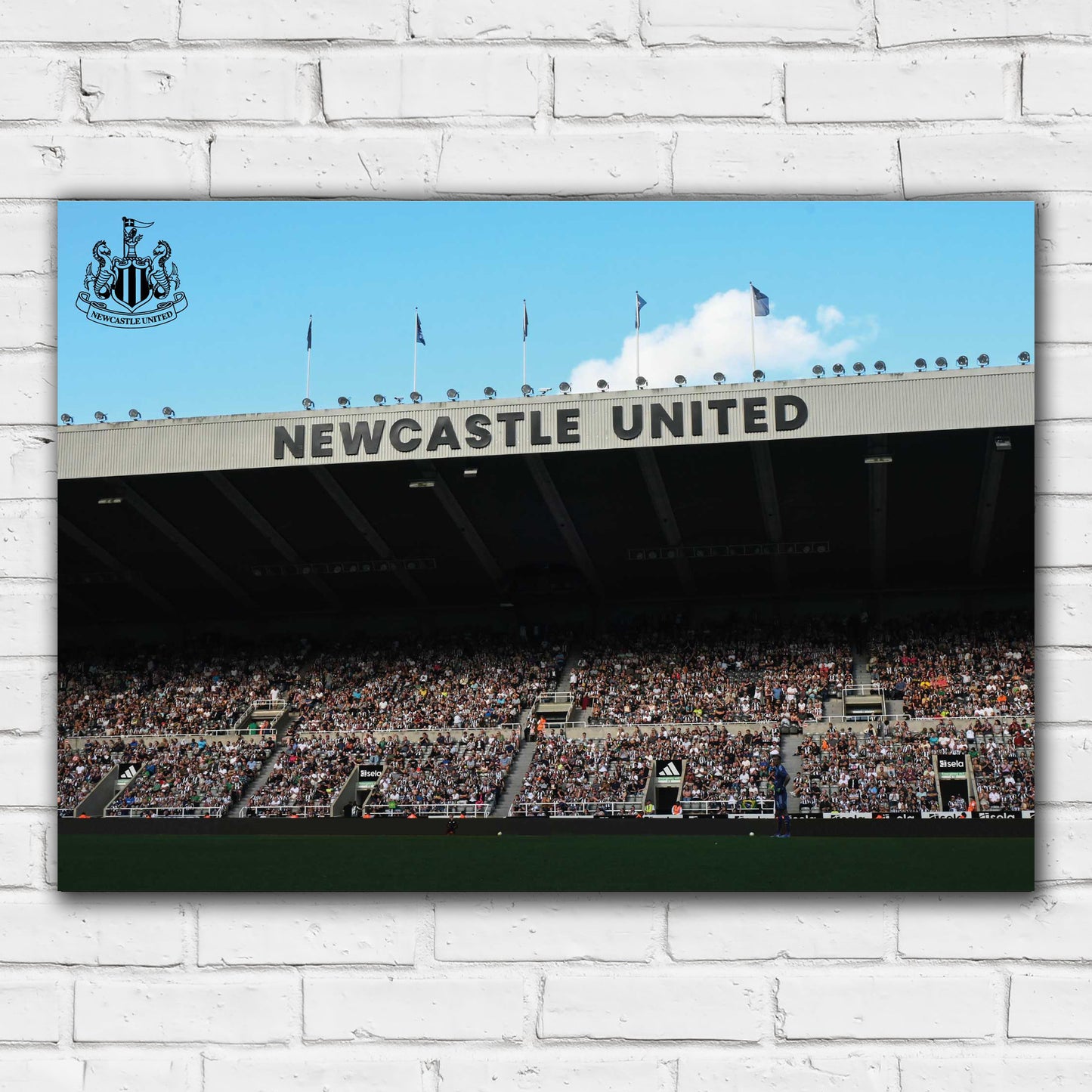 Newcastle United FC Print - Fans in Stand Poster Football Wall Art