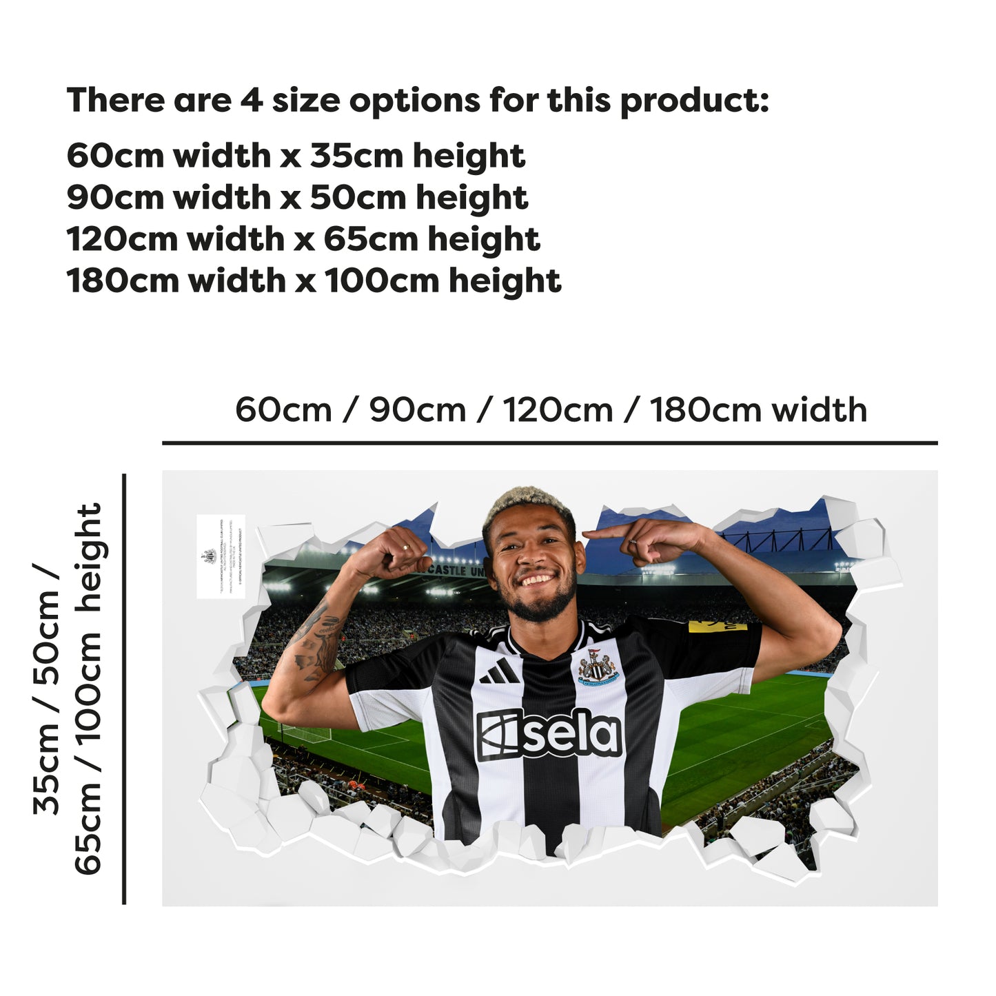 Newcastle United Football Club - Joelinton 24/25 Broken Wall