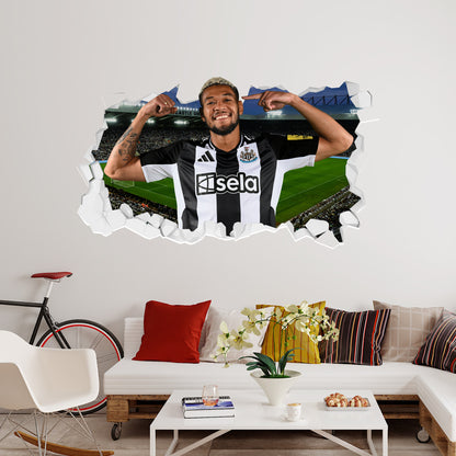 Newcastle United Football Club - Joelinton 24/25 Broken Wall