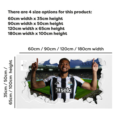 Newcastle United Football Club - Joelinton 25/26 Broken Wall