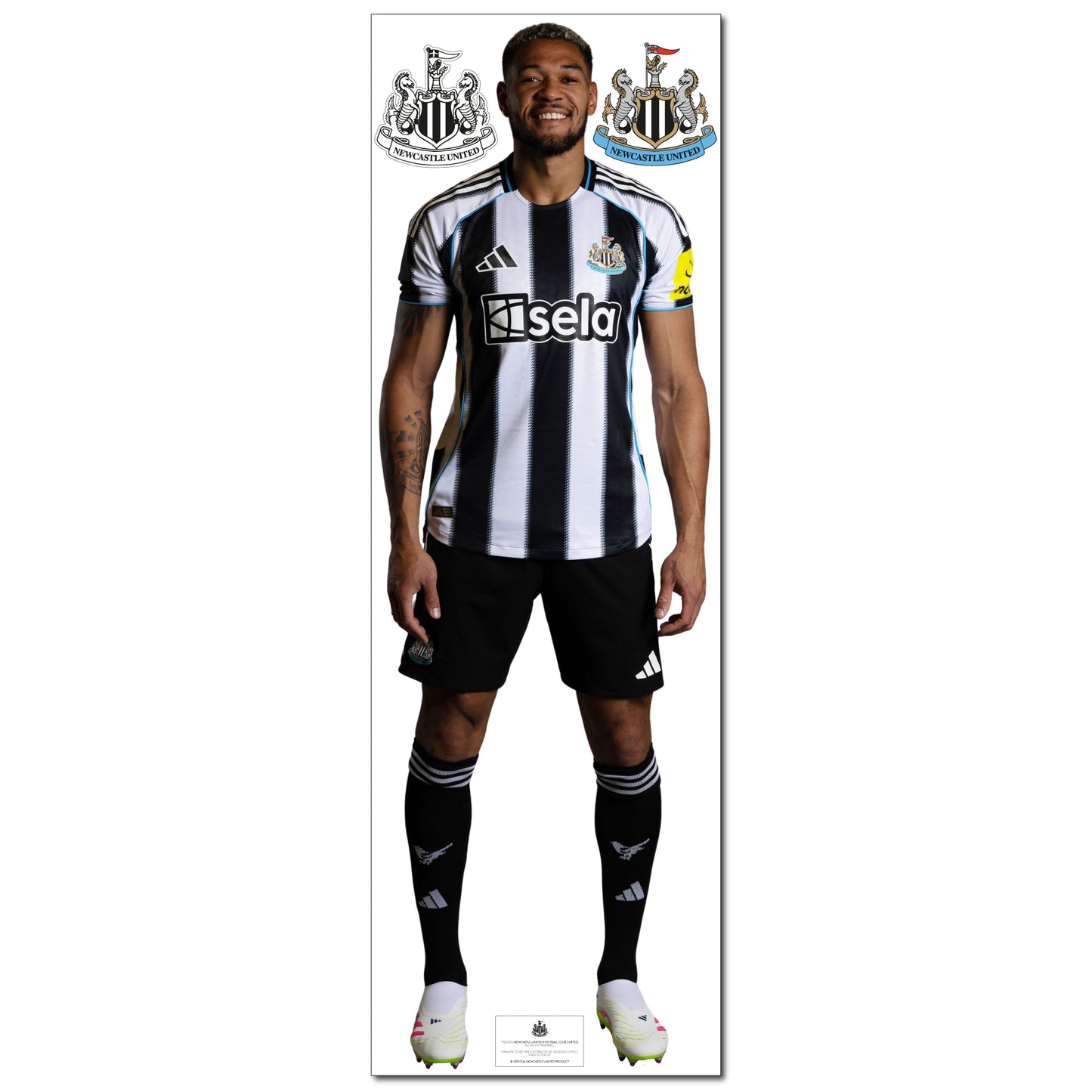 Newcastle United Wall Sticker -  Joelinton Player 25/26 Wall Decal Football Art