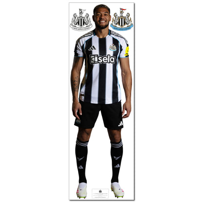 Newcastle United Wall Sticker -  Joelinton Player 25/26 Wall Decal Football Art