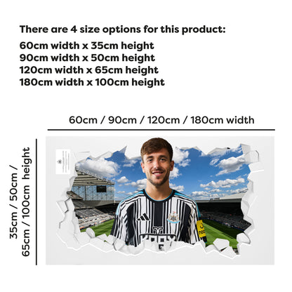 Newcastle United Football Club - Nico 26/27 Broken Wall Sticker