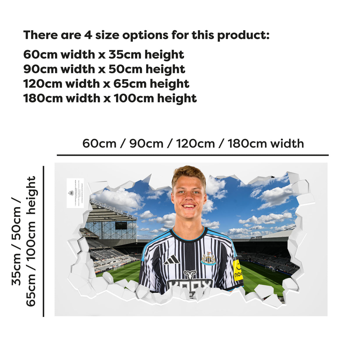 Newcastle United Football Club - Steur 26/27 Broken Wall Sticker