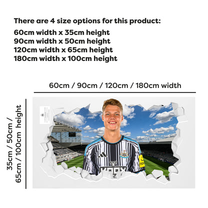 Newcastle United Football Club - Steur 26/27 Broken Wall Sticker