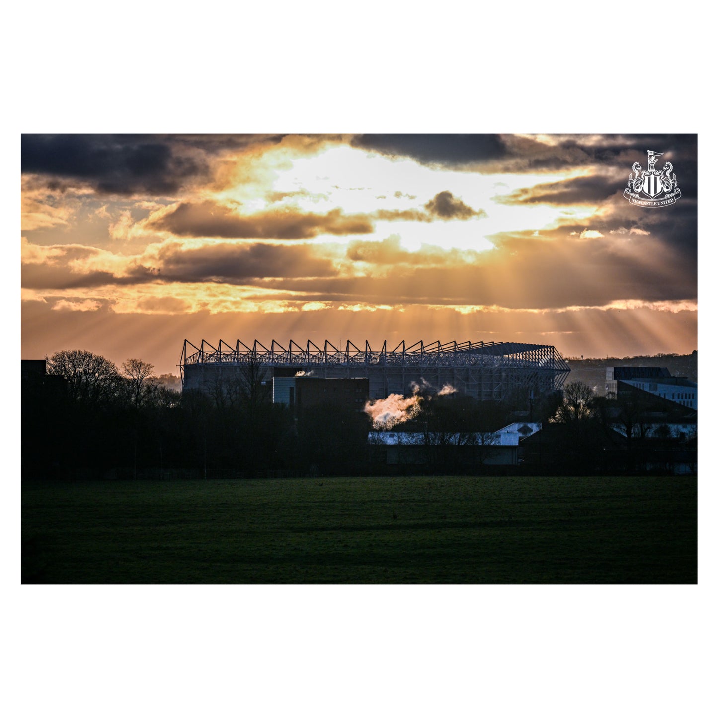 Newcastle United Football Club - Sunshine Over Stadium Full Wall Mural