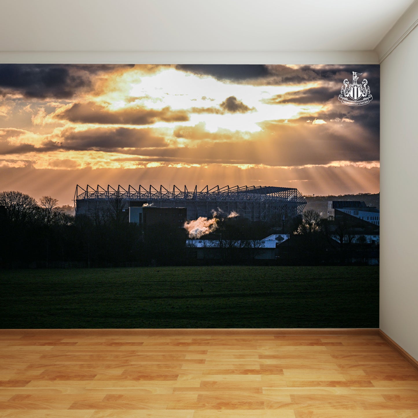 Newcastle United Football Club - Sunshine Over Stadium Full Wall Mural