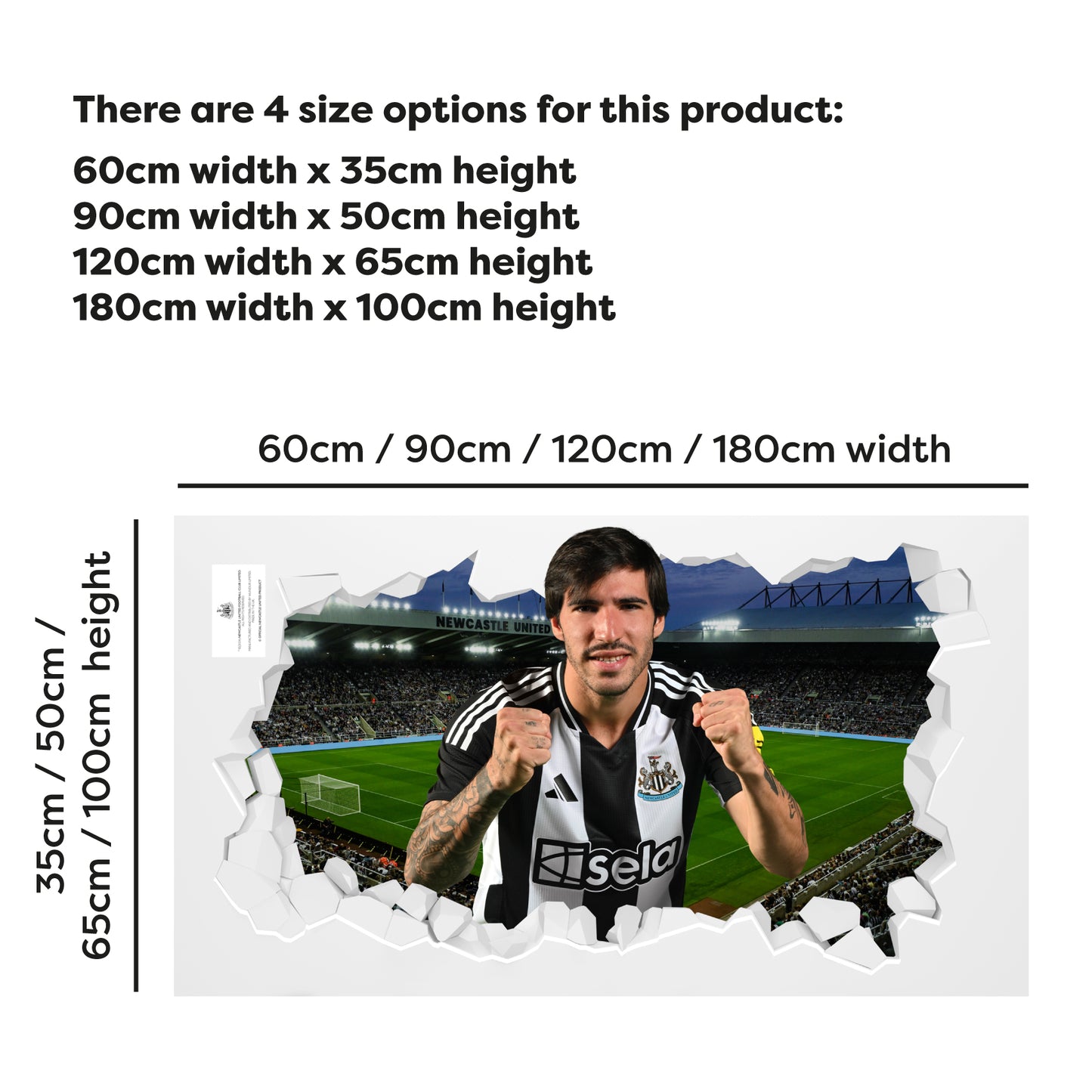 Newcastle United Football Club - Tonali 24/25 Broken Wall