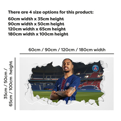 Paris Saint-Germain F.C Barcola 25-26 Broken Wall Sticker