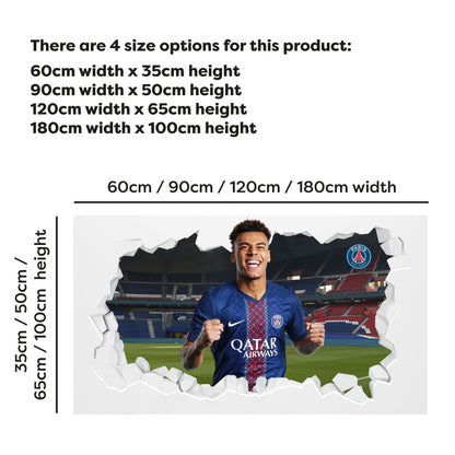 Paris Saint-Germain F.C Doué 25-26 Broken Wall Sticker