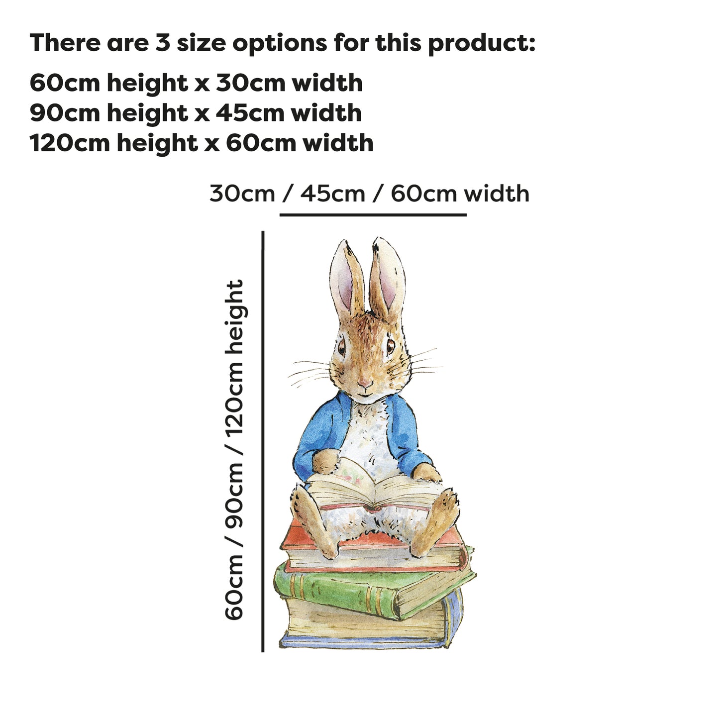 Peter Rabbit Wall Sticker - Peter Rabbit Sitting on Stack of Books Decal Wall Art